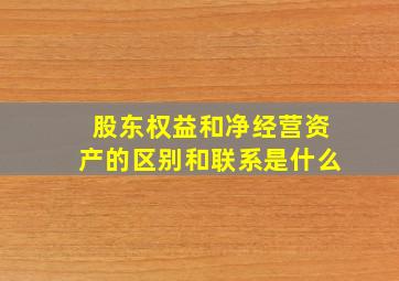 股东权益和净经营资产的区别和联系是什么