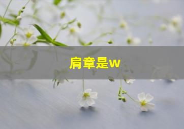 肩章是w