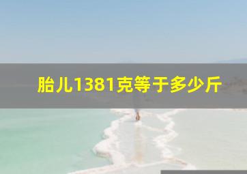 胎儿1381克等于多少斤