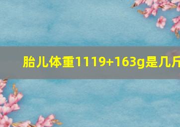 胎儿体重1119+163g是几斤