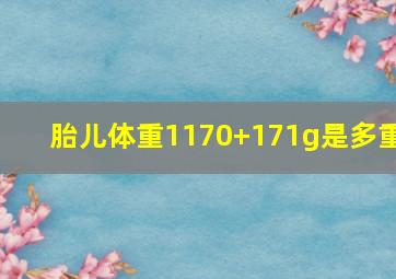 胎儿体重1170+171g是多重