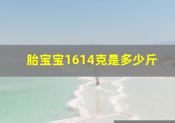 胎宝宝1614克是多少斤