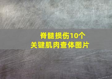 脊髓损伤10个关键肌肉查体图片