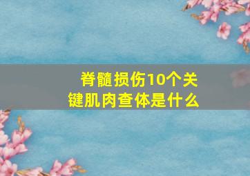 脊髓损伤10个关键肌肉查体是什么