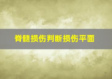 脊髓损伤判断损伤平面