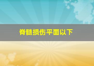 脊髓损伤平面以下