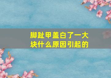 脚趾甲盖白了一大块什么原因引起的