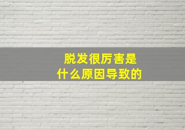 脱发很厉害是什么原因导致的