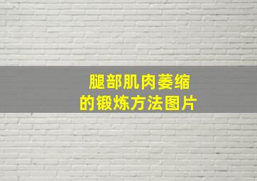 腿部肌肉萎缩的锻炼方法图片