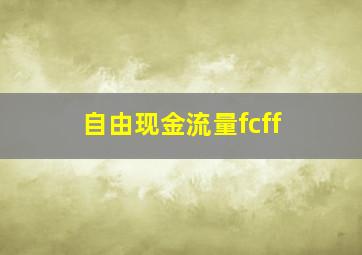 自由现金流量fcff