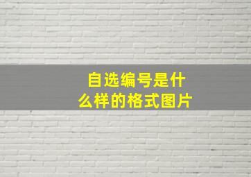 自选编号是什么样的格式图片