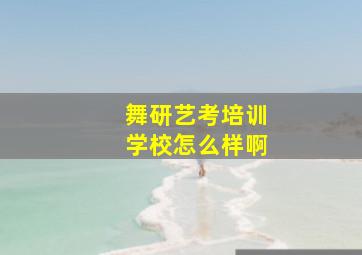 舞研艺考培训学校怎么样啊