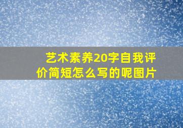 艺术素养20字自我评价简短怎么写的呢图片