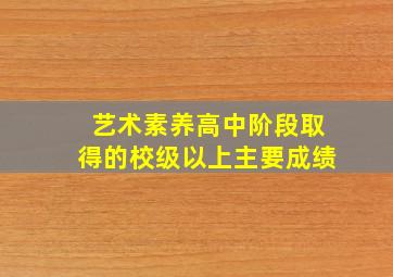 艺术素养高中阶段取得的校级以上主要成绩