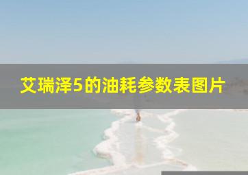 艾瑞泽5的油耗参数表图片