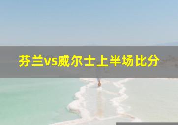 芬兰vs威尔士上半场比分