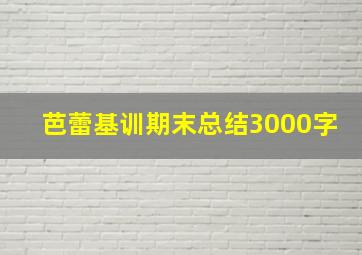 芭蕾基训期末总结3000字