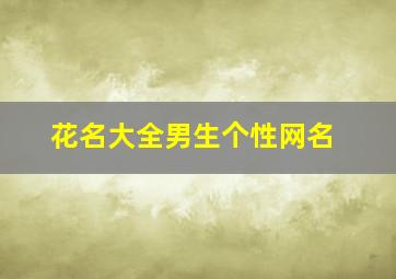 花名大全男生个性网名