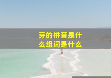 芽的拼音是什么组词是什么