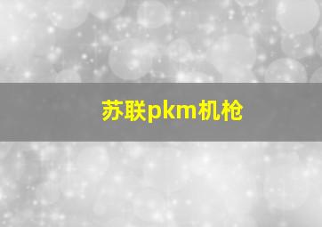 苏联pkm机枪