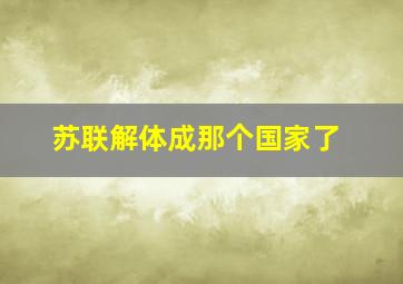 苏联解体成那个国家了