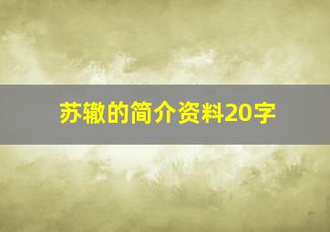 苏辙的简介资料20字