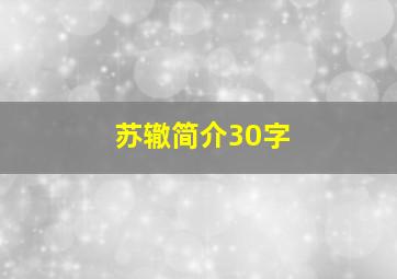 苏辙简介30字