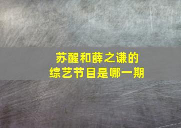 苏醒和薛之谦的综艺节目是哪一期