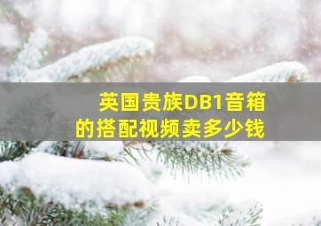 英国贵族DB1音箱的搭配视频卖多少钱