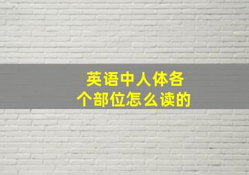 英语中人体各个部位怎么读的