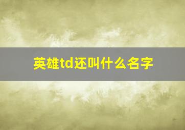 英雄td还叫什么名字