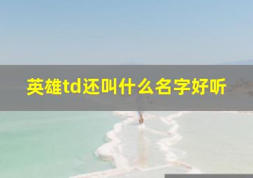 英雄td还叫什么名字好听