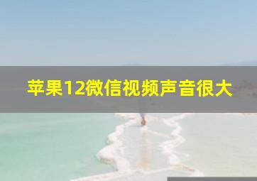 苹果12微信视频声音很大