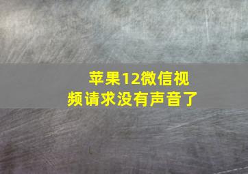 苹果12微信视频请求没有声音了