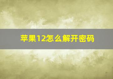 苹果12怎么解开密码