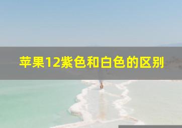 苹果12紫色和白色的区别