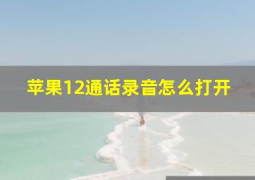 苹果12通话录音怎么打开