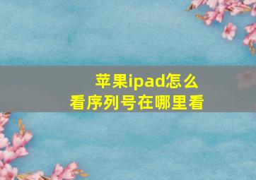 苹果ipad怎么看序列号在哪里看