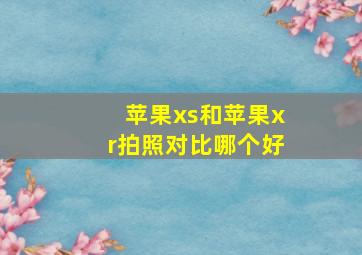 苹果xs和苹果xr拍照对比哪个好