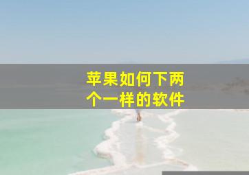 苹果如何下两个一样的软件