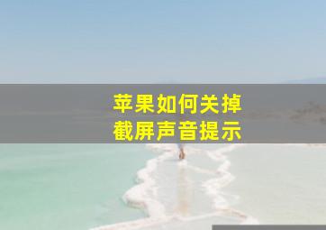 苹果如何关掉截屏声音提示