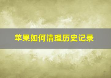 苹果如何清理历史记录