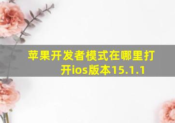 苹果开发者模式在哪里打开ios版本15.1.1