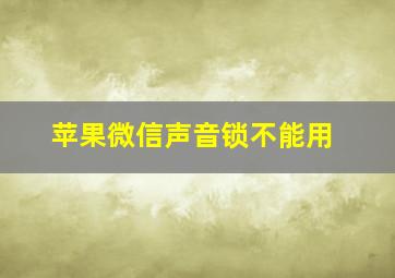 苹果微信声音锁不能用