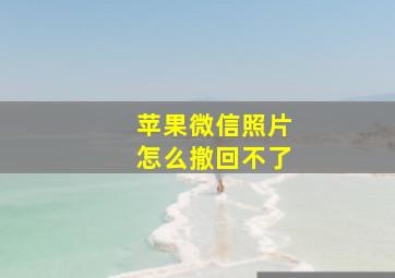 苹果微信照片怎么撤回不了