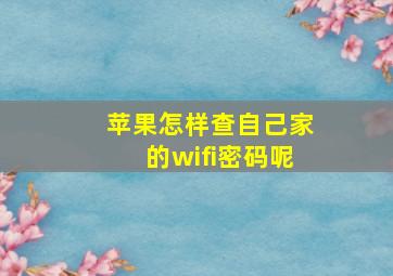 苹果怎样查自己家的wifi密码呢