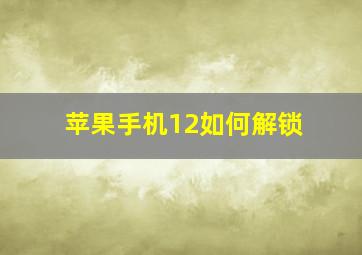 苹果手机12如何解锁