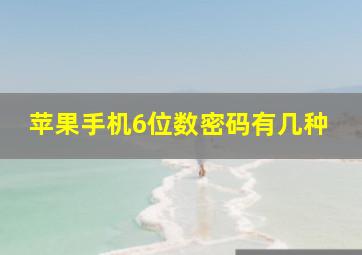 苹果手机6位数密码有几种