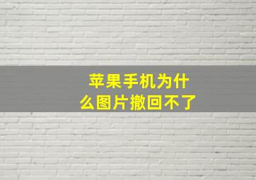 苹果手机为什么图片撤回不了