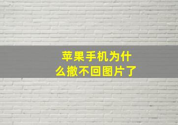 苹果手机为什么撤不回图片了